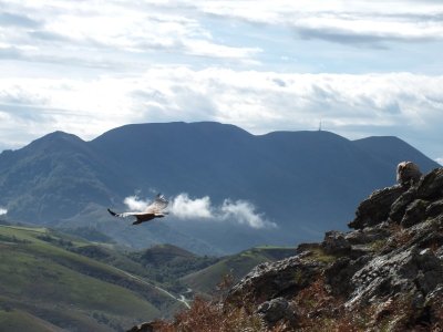 De Saint-Etienne-de-Baigorry à Saint-Jean-Pied-de-Port