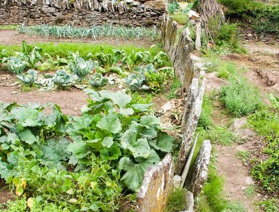 FERME CAUSSENARDE D'AUTREFOIS