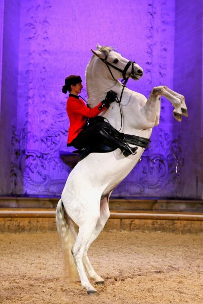 Musée vivant du Cheval - Grandes Ecuries du Château de Chantilly