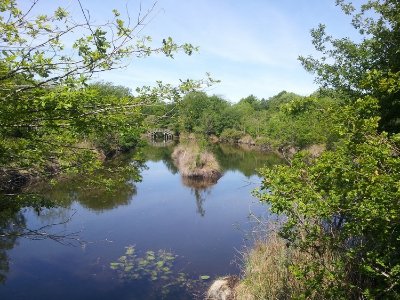 Site Naturel des Tourbières