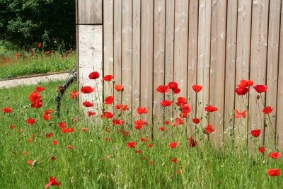 Pelouses et rochers du Pays de Sierck