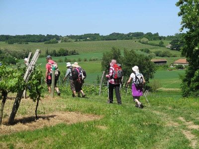 Boucle locale du Cheval Blanc