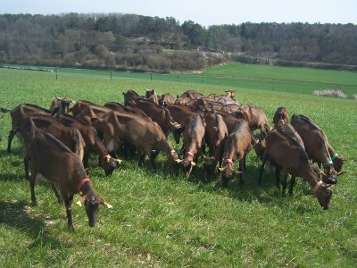 La Ferme du charme du moulin
