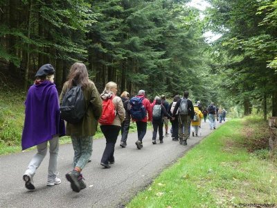 Circuit poussettes 4x4 C06 : Le tour des Hauts Evaux en partant de Salm