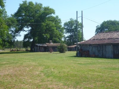 Morcenx en écorando - Circuit aux sources du Bez