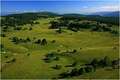 Parcours VTT 60 bleu - Tour des Hameaux - Espace FFC Ain Forestière