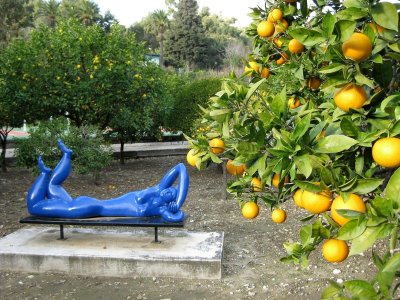 Jardin d'agrumes du Palais de Carnolès - Jardin public