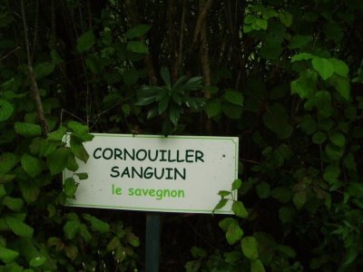 Sentier botanique Gilles Picollier