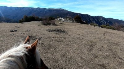 Les chevauchées de Sarah