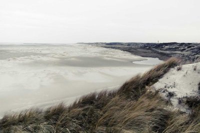 Réserve naturelle nationale de la baie de Canche