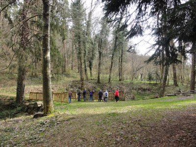 Arboretum de Vollore-Montagne