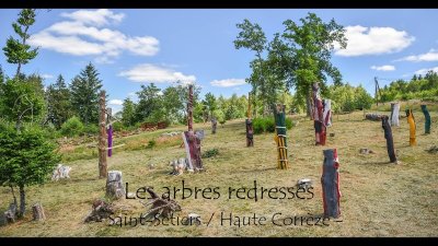 Les arbres redressés