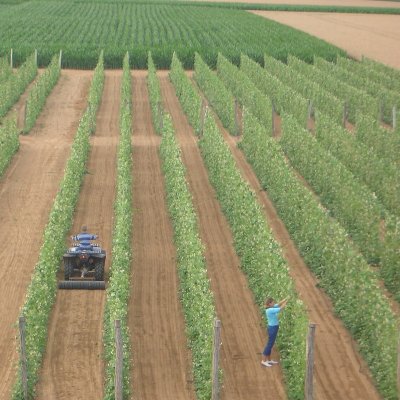 Jardin du Haricot de Soissons
