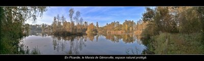 Marais de Génonville