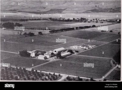 Église Saint-Martin