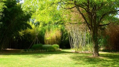 Le Parc aux Bambous
