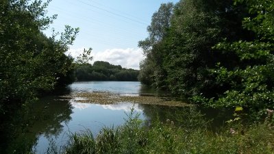 Etang de Thiverny
