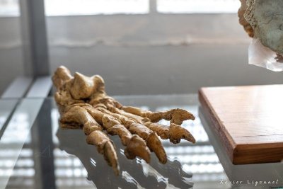 CENTRE DE RECHERCHE ET DE DOCUMENTATION DU MINERVOIS