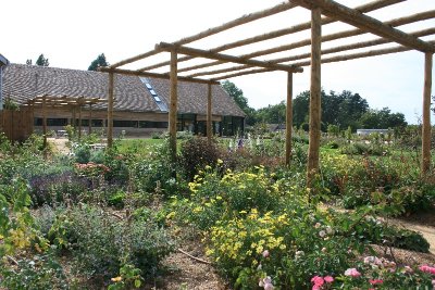 Les Roses Anciennes André Eve®