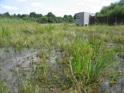 Etang de Beaumont - Conservatoire d'espaces naturels Centre-Val de Loire