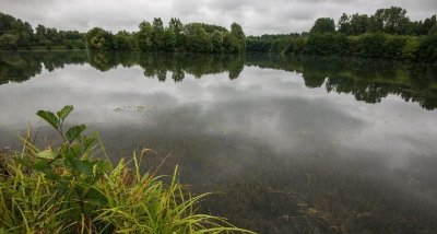 Espace naturel sensible des Savoies et des Népruns