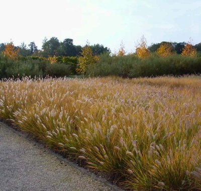 Le Jardin des Arbres
