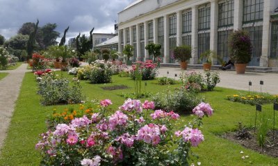 Le Jardin des Plantes
