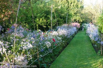 Le Jardin du Petit Chasseur