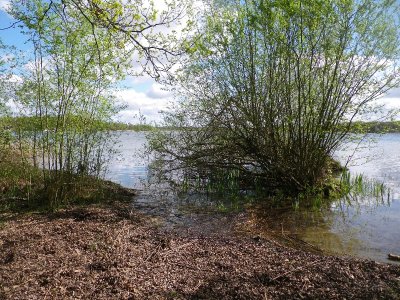 Espace naturel sensible de l'étang du Puits