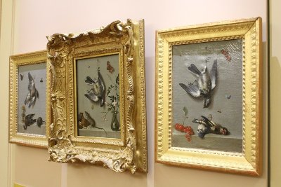 Musée des Beaux Arts