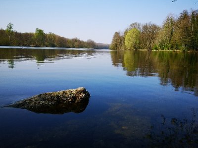Marais de Chantraine