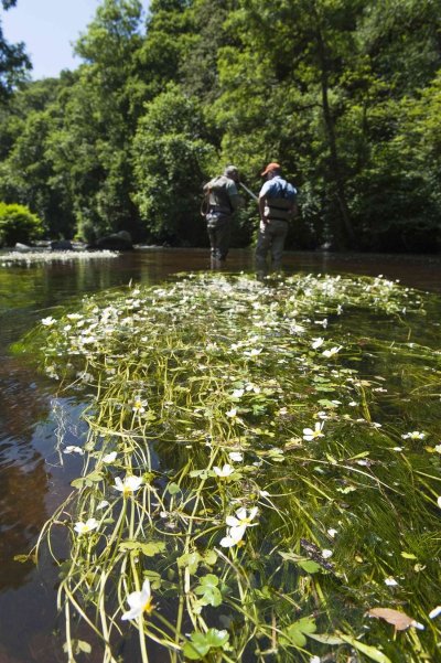 Vallée du Léguer - Rivière Sauvage
