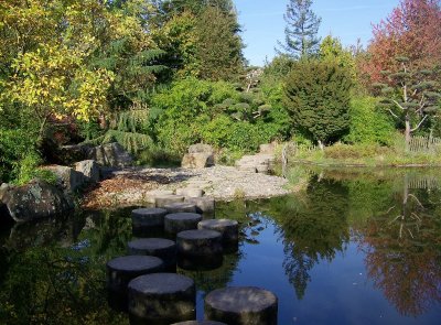 JARDIN DE L'ILE DE VERSAILLES