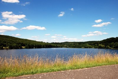 Plan d'eau - Réserve naturelle