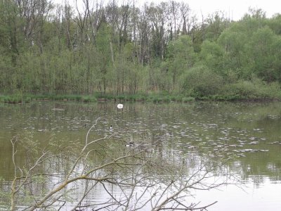 Petite Camargue Alsacienne