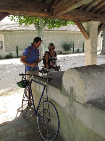 Saint Andiol - Verquières : L'arbre et le patrimoine
