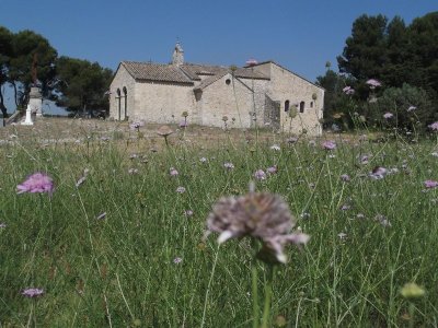 Bouches-du-Rhône en Paysages - Noves Les collines et la plaine du Comtat à vélo