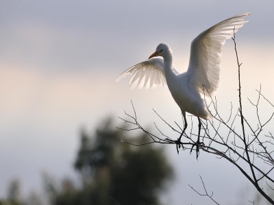 Sentier du Marais du Verdier