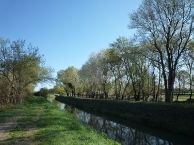 Noves au fil de l'eau