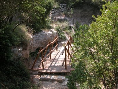 Grand Parc de Figuerolles - Paul Lombard