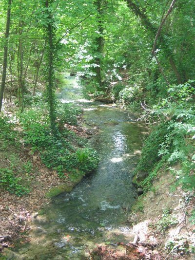 Parc Départemental de Saint Pons