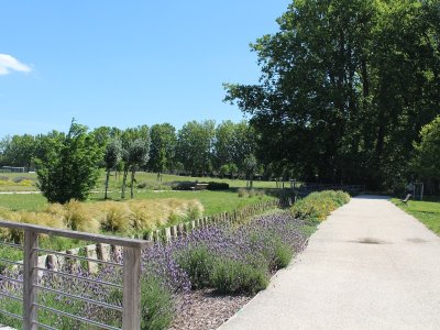 Bouches-du-Rhône en Paysages - Balade douce à Rognonas