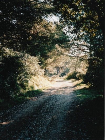 Plaine de Sonnailler (Aurons)