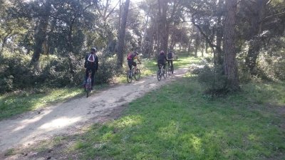 Balade Sonore Moyenâgeuse