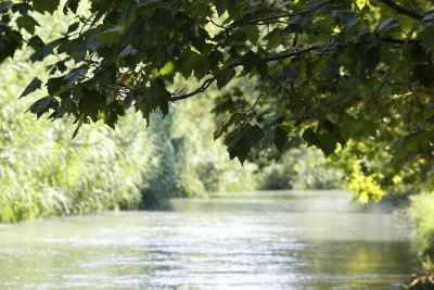 Les canaux de la Crau et des Alpilles