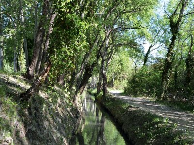 Bouches-du-Rhône en Paysages - Miramas, entre ombres et lumières