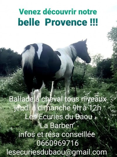 Les écuries du Baou