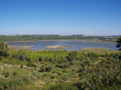 Forêt de Castillon - Etangs de Pourra et d'Engrenier