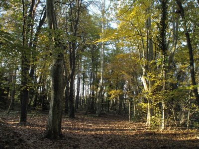 Parc Départemental de l'Arbois