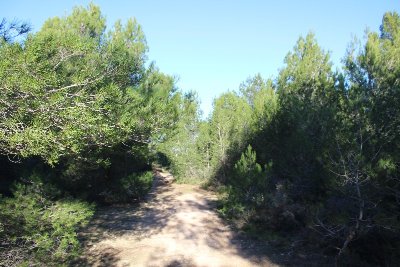 Boucle botanique de la plaine de Carro
